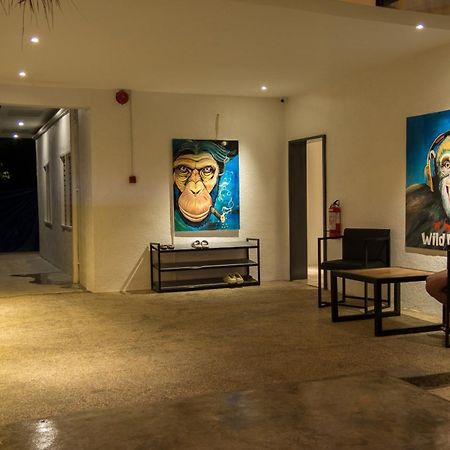 Wild Monkeys Hostel モアルボアル エクステリア 写真