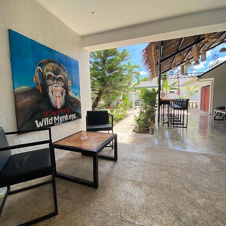 Wild Monkeys Hostel モアルボアル エクステリア 写真