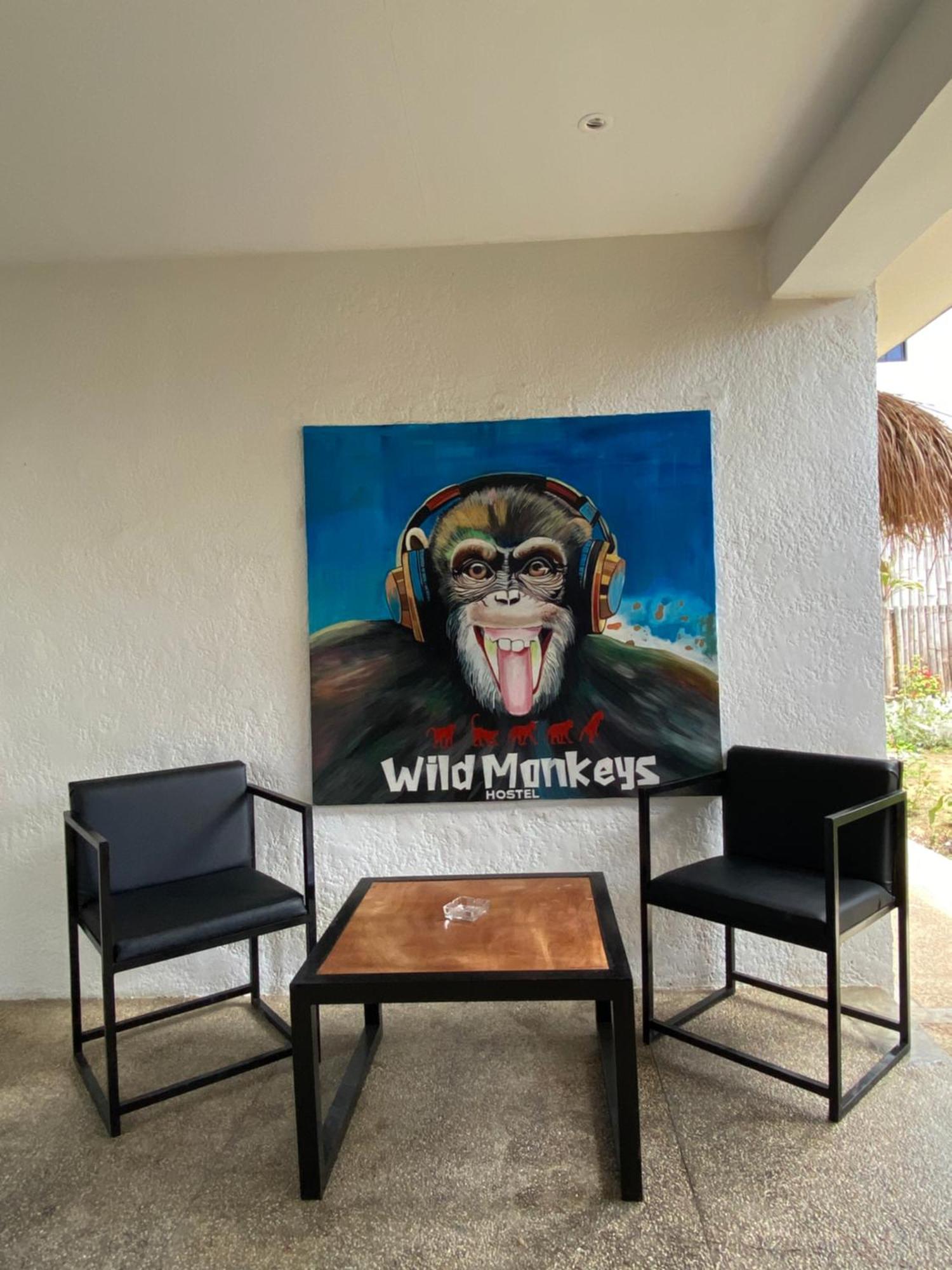 Wild Monkeys Hostel モアルボアル エクステリア 写真